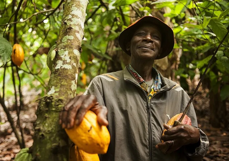 Ghana and the Ivory Coast have made history with a $2,600 price for cocoa