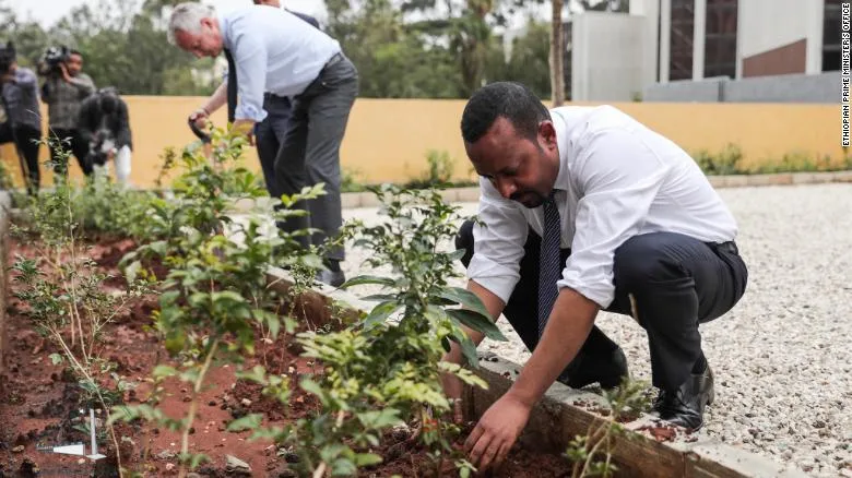 Ethiopia has planted 350 million trees to end drought and the world is clapping