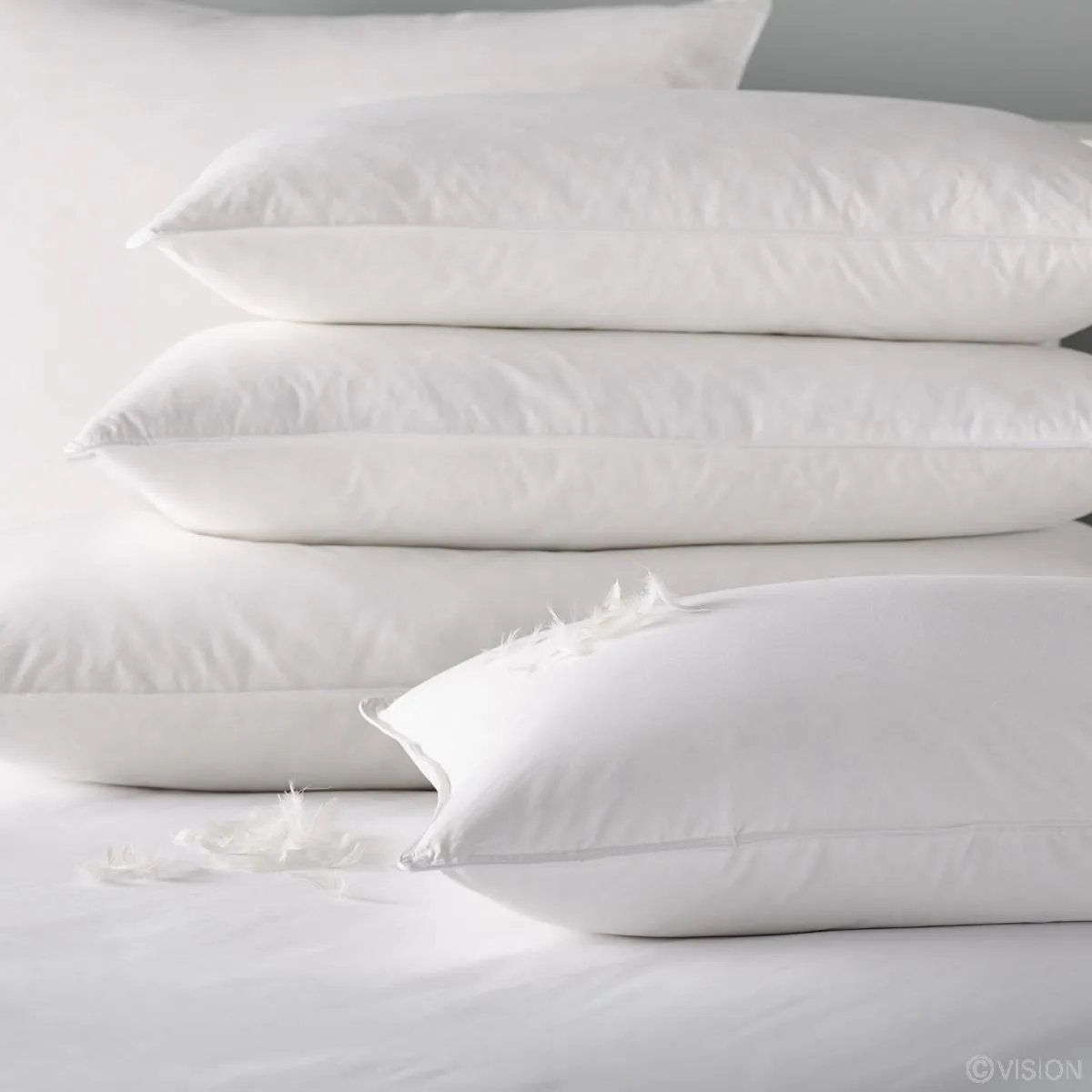 new pillow-braperucci.africa