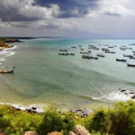 http___cdn.cnn.com_cnnnext_dam_assets_190206165057-senya-beraku