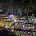 77142114_164166944960157_4822603353722561616_n