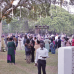 Wedding-Guest-Braperucci.africaSet-1-348