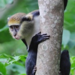 Explore-Ghana-1-braperucci.africa-1