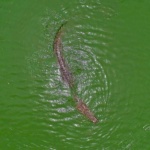 Explore-Ghana-1-braperucci.africa-13