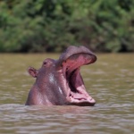 Explore-Ghana-1-braperucci.africa-4