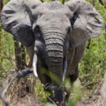 Explore-Ghana-1-braperucci.africa-6