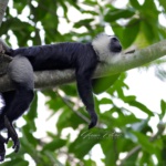 Explore-Ghana-2-braperucci.africa