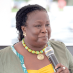 professor-audrey-gadzekpo-braperucci.africa