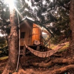 Cabin-Green