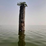 Climate-Change