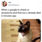 Google-Memes