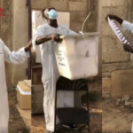 72645E02-4151-4217-8290-AF5DB5B98401