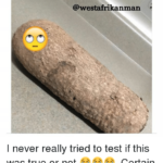 Yam