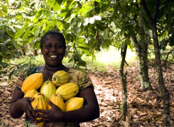 Ghana and the Ivory Coast have made history with a $2,600 price for cocoa